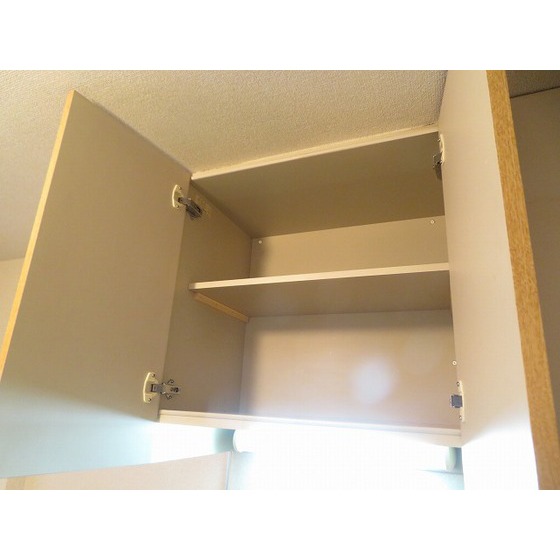 エスイーシー玉川ハイツ0205号室 キッチン上収納