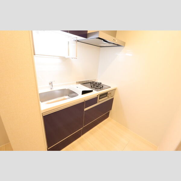 D-ROOM　YATSU201号室 キッチン