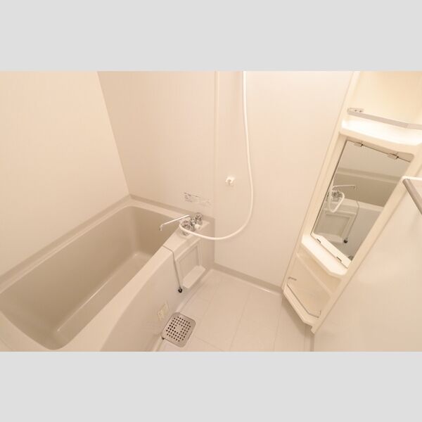 I.ヴィレッジ堀崎203号室 浴室