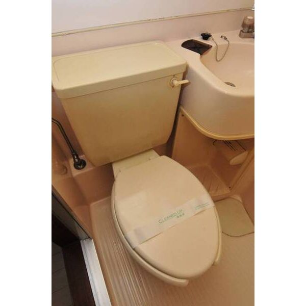 メゾン・ド・原宿0202号室 トイレ