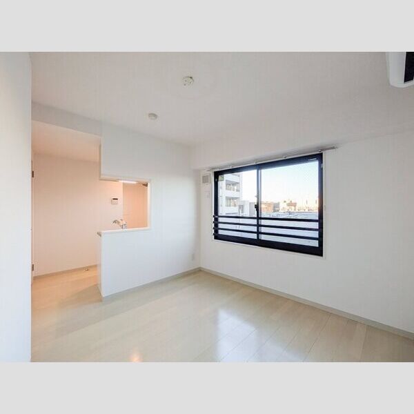 レジデンス東雪谷 501号室　DK