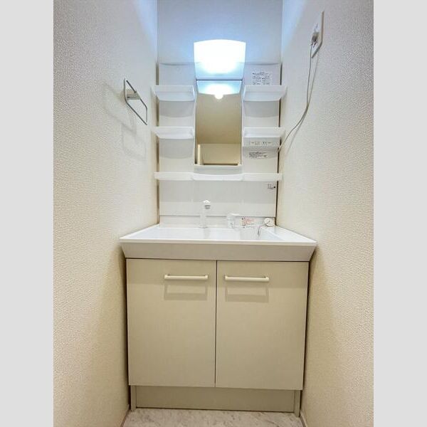 リーブルファイン川口上青木西202号室 洗面