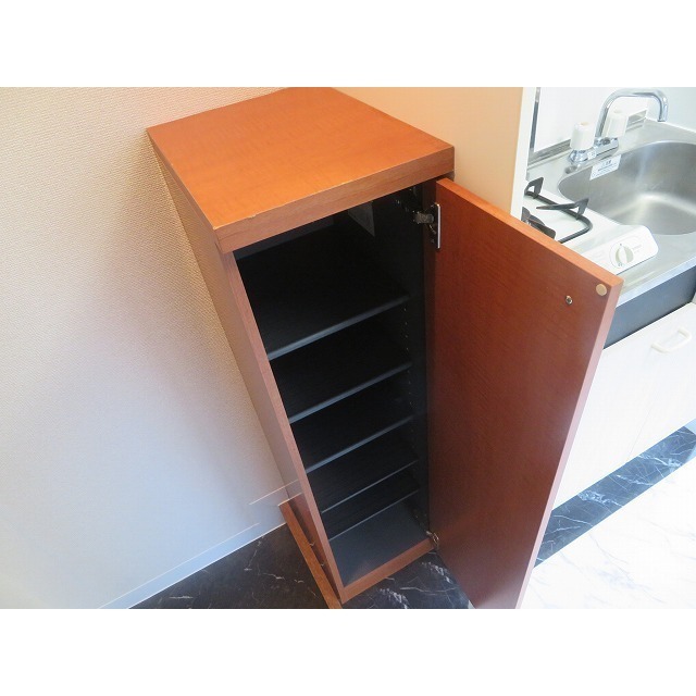 ダイヤモンドレジデンス西日暮里第三 写真は他部屋