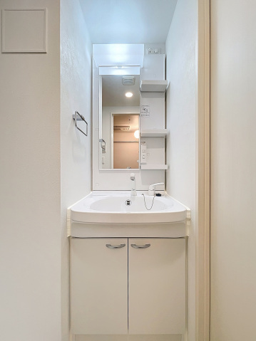 スカイコートリュクス品川大崎401号室 洗面