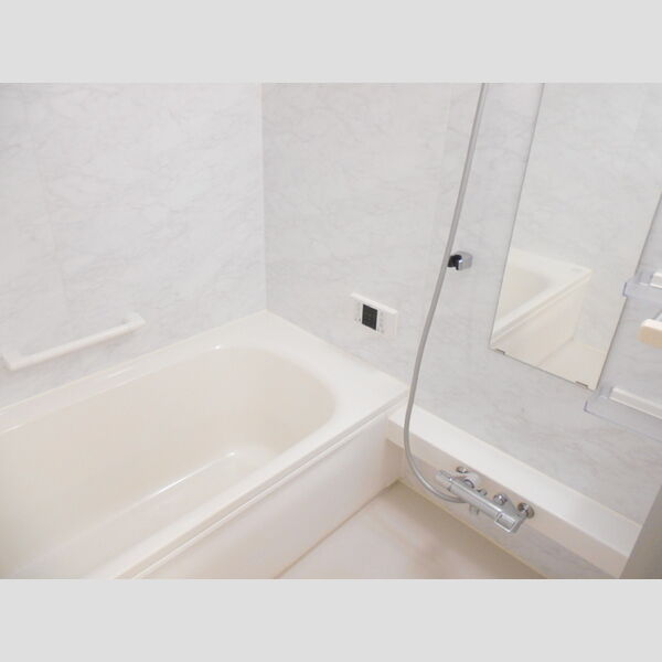 レフィナード(川越的場)201号室 同建物別部屋の参考画像