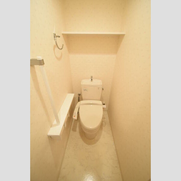 ロイヤルパークス西新井1023号室 トイレ