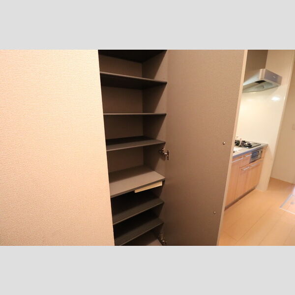 リバーハイツ幕張102号室 シューズボックス