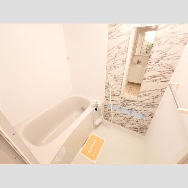 パレス国立 浴室