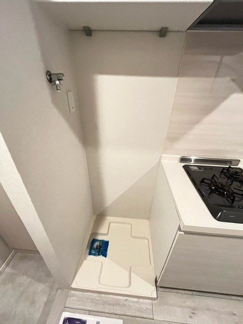 レジディア新宿イースト2階 洗濯機置場