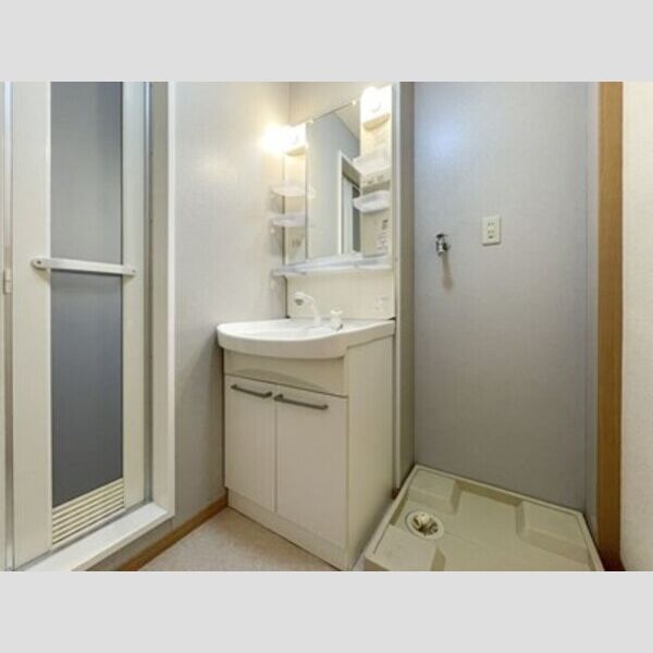 ロジュマン マエバラDEFE202号室 洗髪洗面化粧台