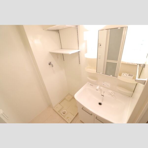 ロイヤルガーデン101号室 洗髪洗面化粧台