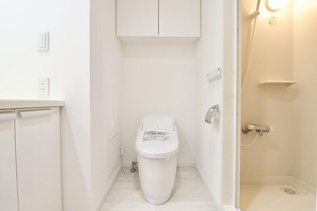 六本木デュープレックスエムズ2階 トイレ