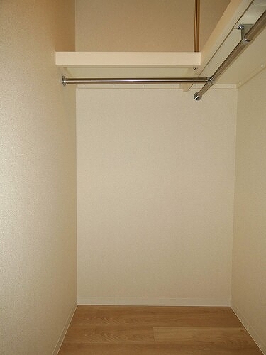 シティタワー金町　タワー棟 ウォークインクロゼット　内装済