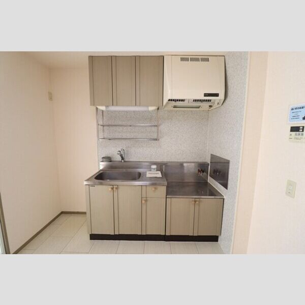 メゾン・ド・ラフィーネ　A102号室 キッチン