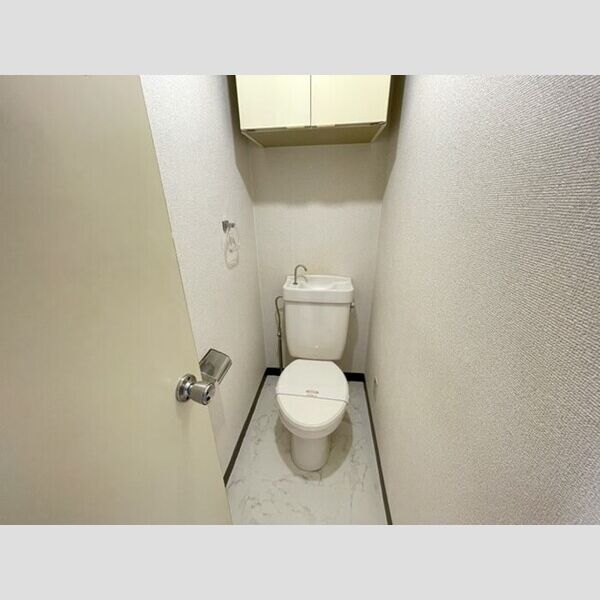 パイントリーハイツ503号室 トイレ