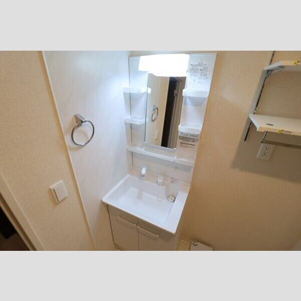 ライフマンションA・B　B 洗髪洗面化粧台