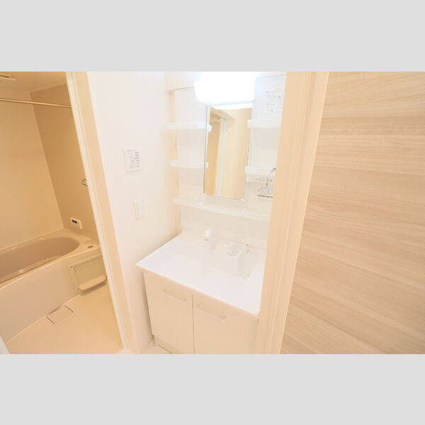 D Paina 中野島Ⅱ103号室 洗髪洗面化粧台