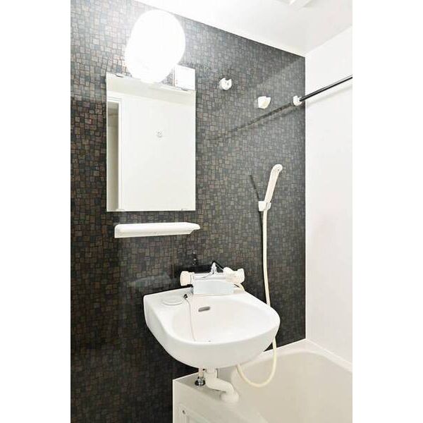 カントリー西横浜0203号室 洗面