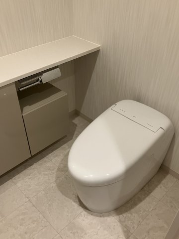 広尾アパートメント304号室 デザイン性の高いタンクレスタイプ