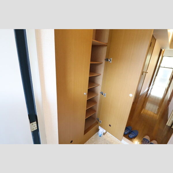 ルーチェ緑が丘　B113号室 シューズボックス