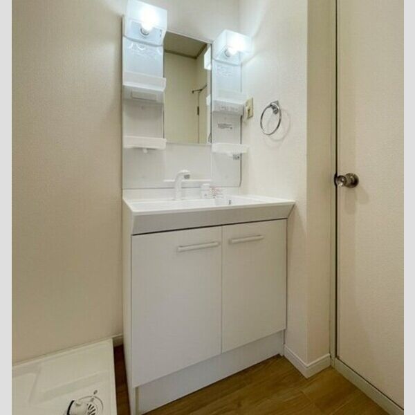 メゾンブランシュ　壱・弐番館弐101号室 洗髪洗面化粧台