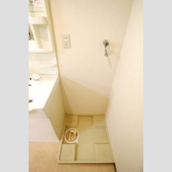 アルバ南柏507号室 室内洗濯機置場