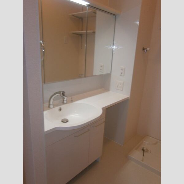 サントル ヴィラージュⅡ102号室 洗面