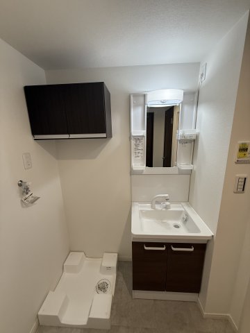 ベイルームアーバン海老名302号室 洗面