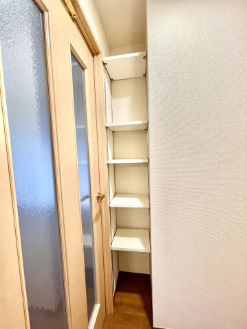 スカイコート新宿曙橋第2401号室 シューズボックス