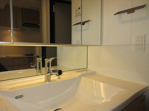 サンウッドフラッツ新宿四谷三丁目8階 洗面所