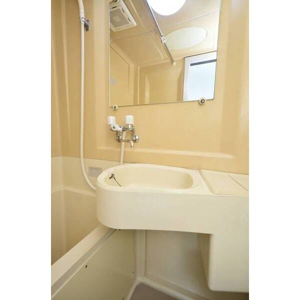 メゾン・ド・富士見町0205号室 洗面