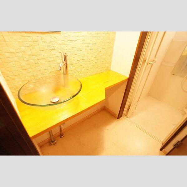 FELIZ一橋学園301号室 洗面所