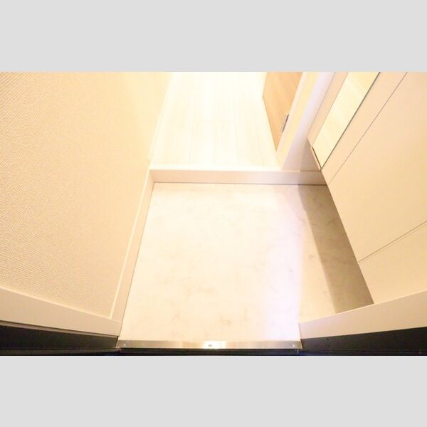 ルミナーレ 玄関