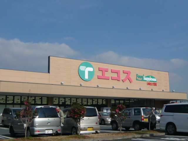 ドルチェ武蔵野0304号室 【デパート】エコス拝島店まで1243ｍ