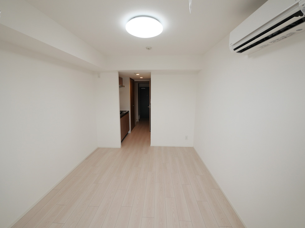 ラフィスタ高津 内観