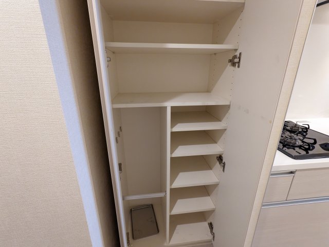 ケーディーエックスレジデンス豊洲306号室 収納