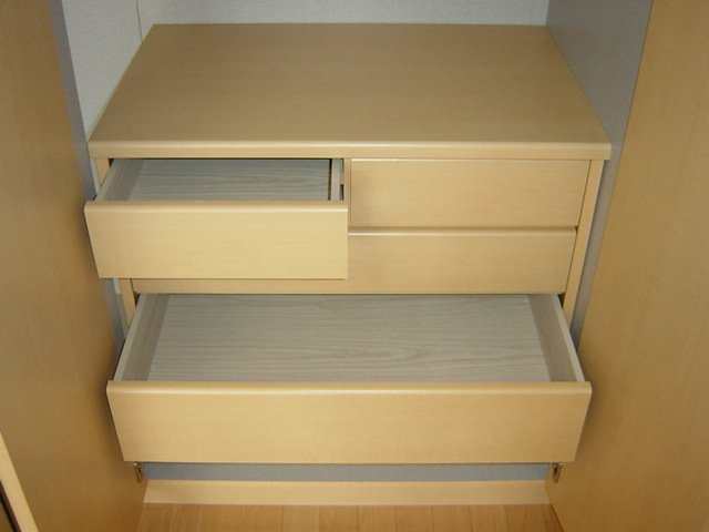 ペティハウス弐番館302号室 収納