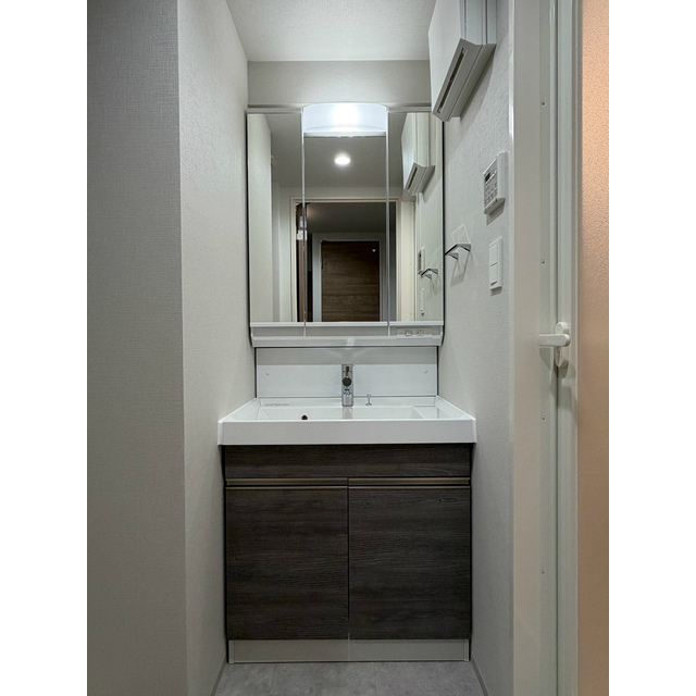 プレール・ドゥーク亀戸小村井402号室 洗面化粧台