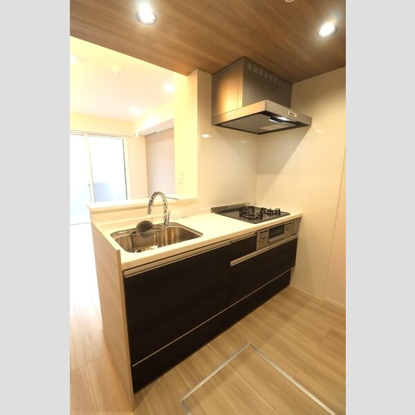 セレスティア小豆沢102号室 キッチン