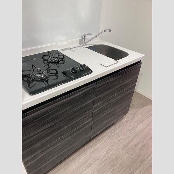 S-RESIDENCE駒込六義園204号室 玄関