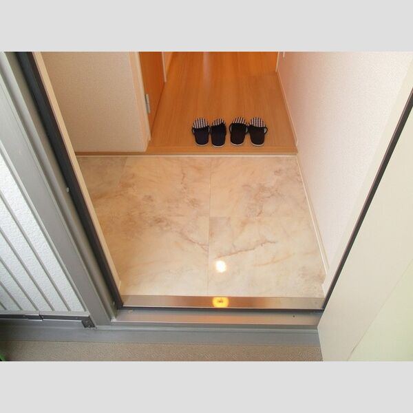 D-ROOM East203号室 玄関