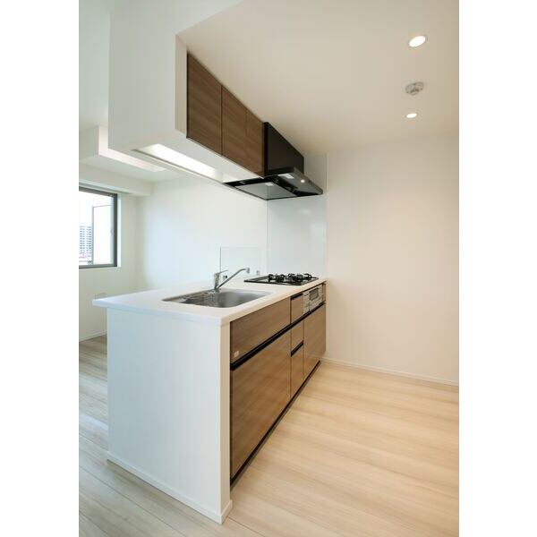 エルフォルテ東日暮里601号室 部屋その他