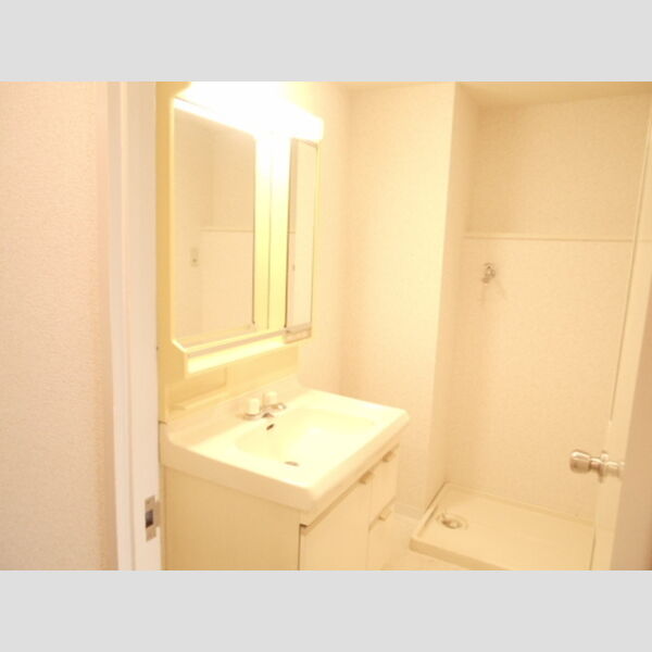 Bellevue壱番館205号室 洗面所