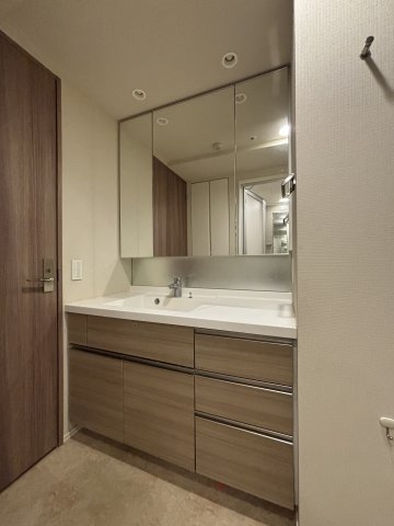 ザ・パークハウス日吉112号室 洗面