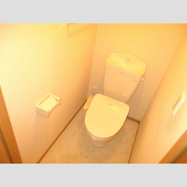 ラ・レアール・パス101号室 トイレ