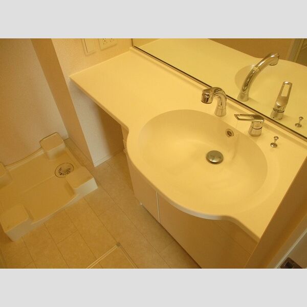 D-ROOM East203号室 洗髪洗面化粧台