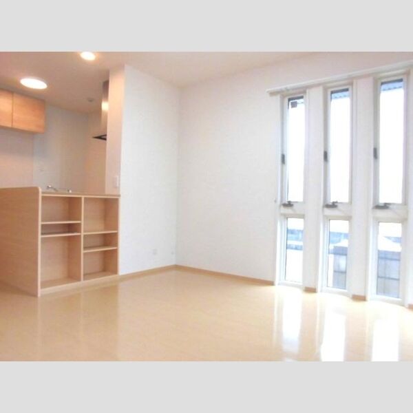 メルヴェーユ三郷中央　A LDK