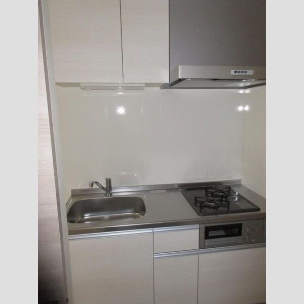 アンジュール氷川台103号室 キッチン流し台