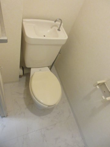 グレートサクシー0301号室 トイレ