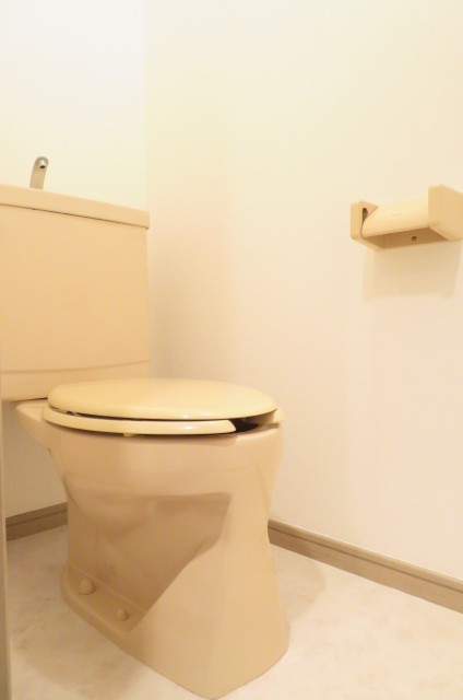 サングレイスプラザ綱島 落ち着いた色調のトイレです
